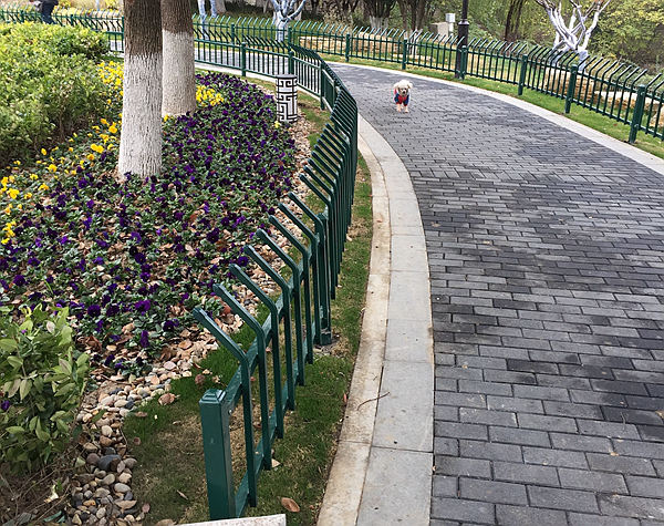 綠化帶鋅鋼護欄價格 綠化帶鋅鋼護欄價格